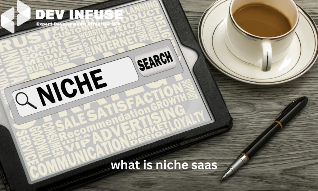 what is niche saas