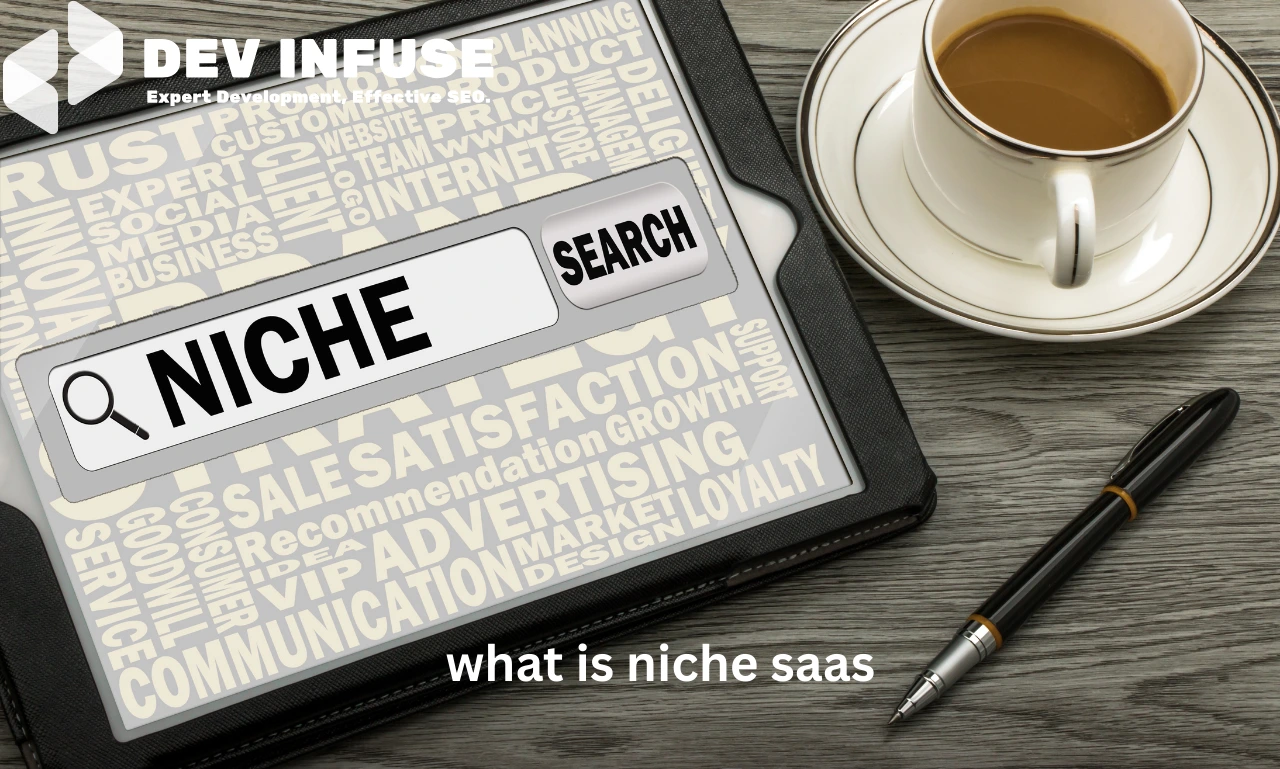 what is niche saas
